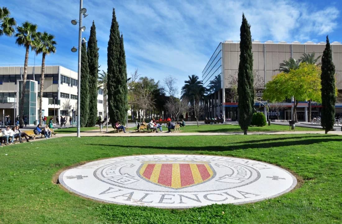 UPV – Curso SEAMIC — Vídeo · Reels · Verso Productions Valencia